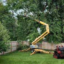 Best Aeration Services  in Crafton, PA