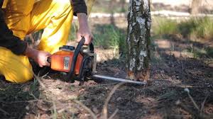 Best Soil Testing and Treatment  in Crafton, PA