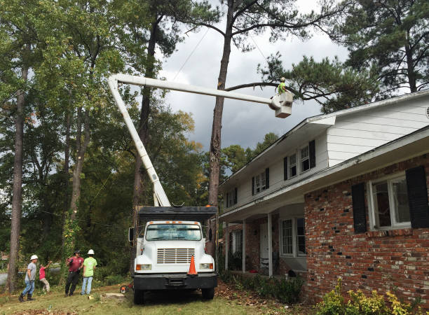 Best Arborist Consultation Services  in Crafton, PA