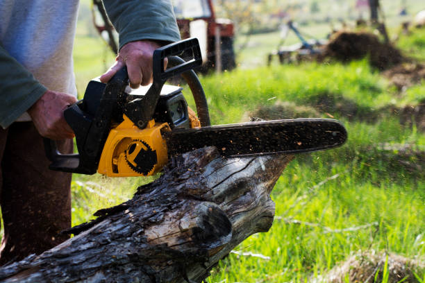 Soil Testing and Treatment in Crafton, PA