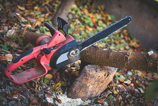 Best Commercial Tree Services  in Crafton, PA